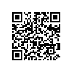 Y11216K40000T9R QRCode