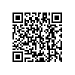 Y11217K95780T13R QRCode