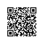 Y116910K0000T9L QRCode