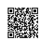 Y11691K10000T9R QRCode