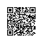 Y11692K50000B13R QRCode