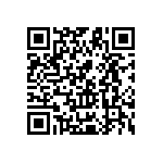 Y116949K9000T0L QRCode