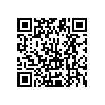 Y11696K19000B0R QRCode