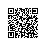 Y11721K13000T0W QRCode