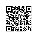 Y11726K65000B9R QRCode