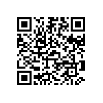 Y1453730R341V9L QRCode