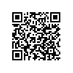 Y16241K03070T9R QRCode