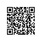Y16241K07700T9W QRCode