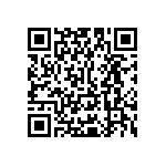 Y16241K20000T9R QRCode