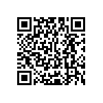 Y16241K25000T9R QRCode