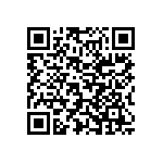 Y16241K25000T9W QRCode