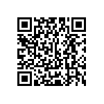 Y16241K35000T0W QRCode