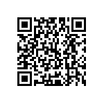 Y16241K95000B9R QRCode