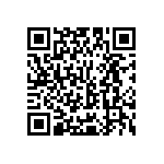 Y16244K53000T9W QRCode