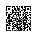 Y16244K99000B24W QRCode