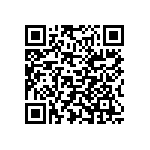 Y162511K3000T9W QRCode