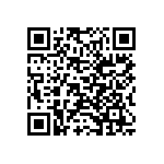 Y162513K6370B9W QRCode