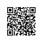 Y162516K0000Q9W QRCode