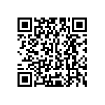 Y16251K27000B9R QRCode