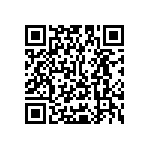 Y16251K28000T9W QRCode