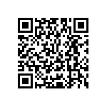 Y16251K40000T9W QRCode