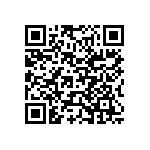 Y16251K87000B0R QRCode