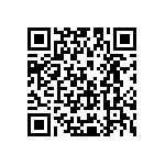 Y162524K9000T9R QRCode