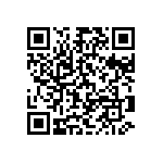 Y16252K80000T9W QRCode