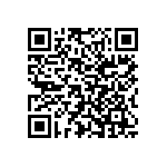 Y16256K20000T9W QRCode