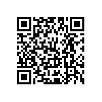Y16256K81000Q0R QRCode