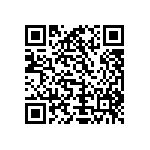 Y16281K44000T9R QRCode