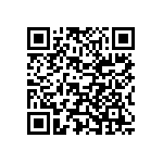 Y16291K52000T0W QRCode