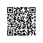 Y16294K87000T9R QRCode