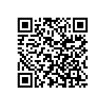 Y16295K10000T9W QRCode