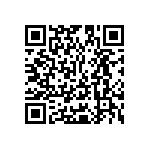 Y16295K60000T9W QRCode
