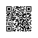 Y16296K20000B9W QRCode
