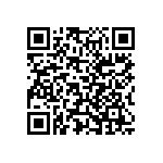 Y163010K0000T0W QRCode