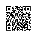 Y16301K00000A9R QRCode