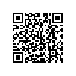 Y16301K10000T9W QRCode