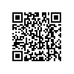 Y16305K11000T9W QRCode
