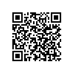 Y16306K20000T9W QRCode