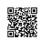 Y16313K00000T0R QRCode