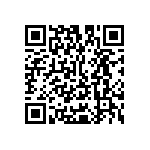 Y16361K20000T9W QRCode