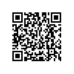 Y16361K65000T9W QRCode