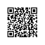 Y16363K65000T9W QRCode