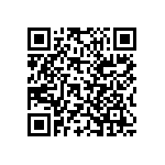 Y172510R0000B9L QRCode