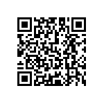 Y1725300R000F9L QRCode