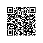 Y17451K20000T0L QRCode