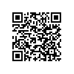 Y17451K25000B2R QRCode