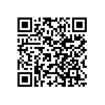 Y17451K80000B2R QRCode